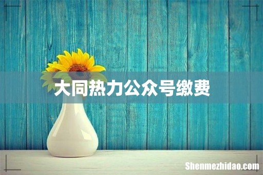 大同热力公众号缴费