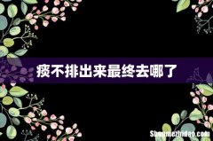 痰不排出来最终去哪了