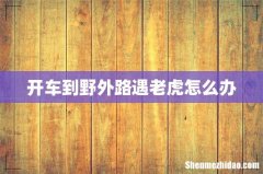 开车到野外路遇老虎怎么办