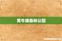 黄牛埔森林公园