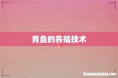 青鱼的养殖技术