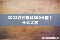 2022陕西理科300分能上什么大学