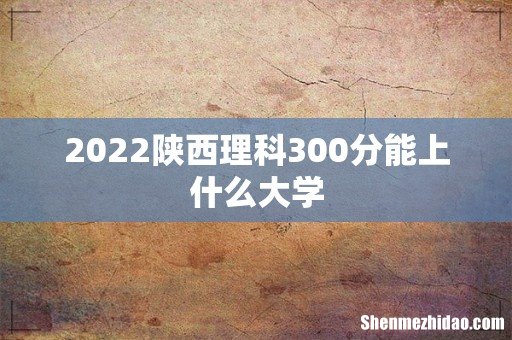 2022陕西理科300分能上什么大学