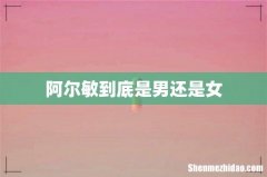 阿尔敏到底是男还是女