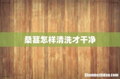 桑葚怎样清洗才干净