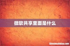 微软共享里面是什么