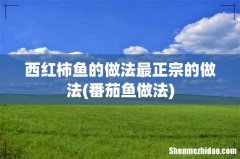 番茄鱼做法 西红柿鱼的做法最正宗的做法