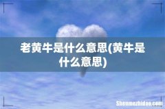 黄牛是什么意思 老黄牛是什么意思