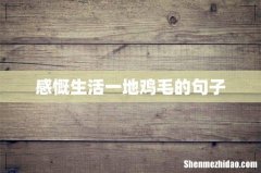 感慨生活一地鸡毛的句子