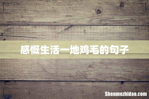 感慨生活一地鸡毛的句子