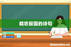 精忠报国的诗句