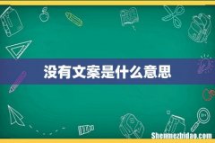 没有文案是什么意思