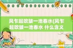 风乍起吹皱一池春水 什么含义 风乍起吹皱一池春水