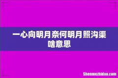 一心向明月奈何明月照沟渠啥意思