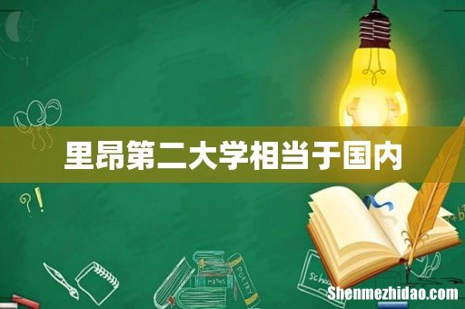 里昂第二大学相当于国内