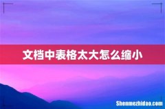 文档中表格太大怎么缩小