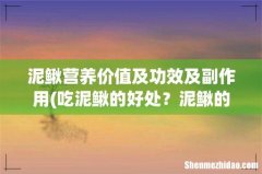 吃泥鳅的好处？泥鳅的营养价值？ 泥鳅营养价值及功效及副作用