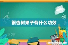 银杏树果子有什么功效