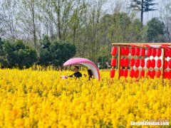 三月成都大概多少度 成都3月气温大概在多少度