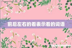 前后左右的看表示看的词语
