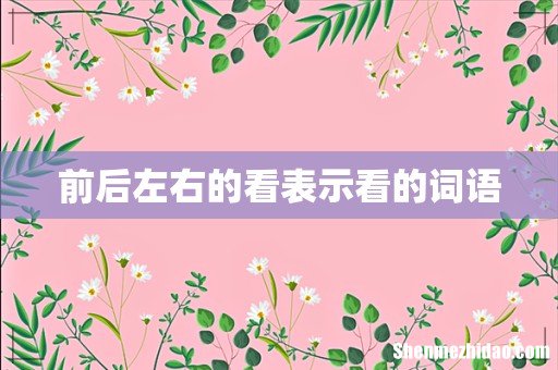 前后左右的看表示看的词语