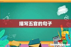 描写五官的句子