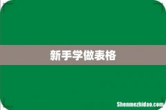 新手学做表格