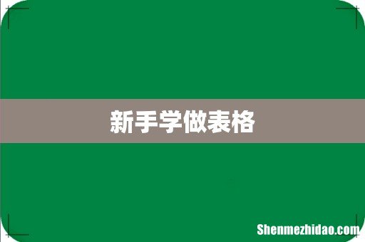 新手学做表格