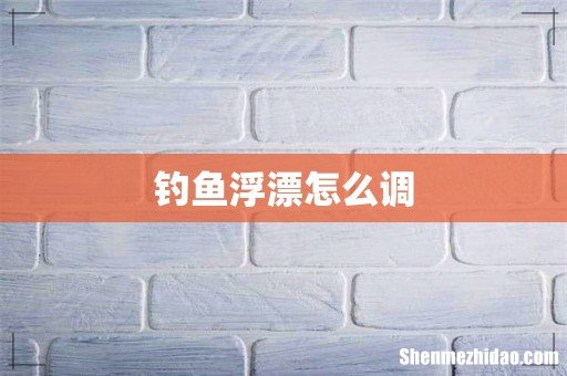 钓鱼浮漂怎么调
