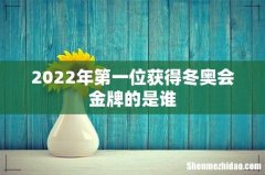 2022年第一位获得冬奥会金牌的是谁
