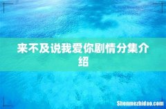 来不及说我爱你剧情分集介绍