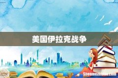 美国伊拉克战争