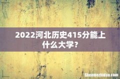 2022河北历史415分能上什么大学？