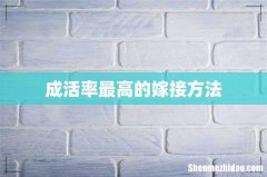 成活率最高的嫁接方法