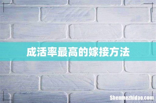 成活率最高的嫁接方法