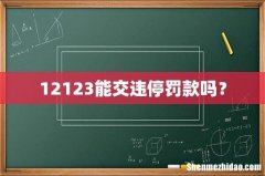 12123能交违停罚款吗？
