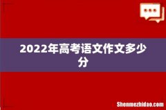 2022年高考语文作文多少分