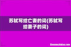 苏轼写给妻子的词 苏轼写给亡妻的词