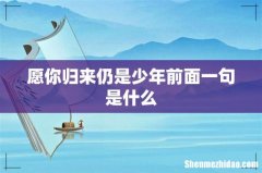 愿你归来仍是少年前面一句是什么