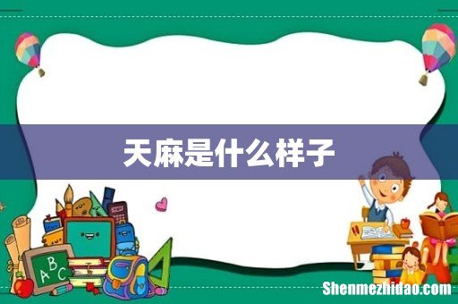 天麻是什么样子