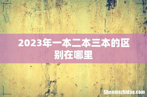 2023年一本二本三本的区别在哪里