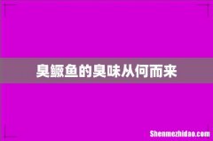 臭鳜鱼的臭味从何而来