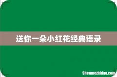 送你一朵小红花经典语录