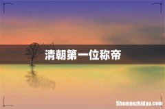 清朝第一位称帝