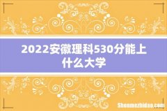 2022安徽理科530分能上什么大学