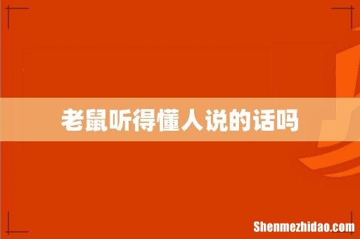 老鼠听得懂人说的话吗