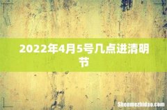 2022年4月5号几点进清明节