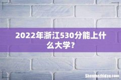 2022年浙江530分能上什么大学？