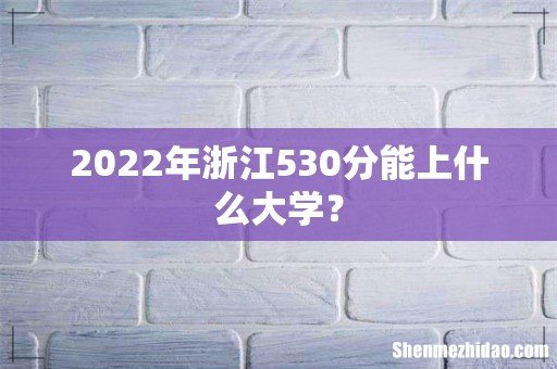 2022年浙江530分能上什么大学?
