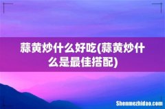 蒜黄炒什么是最佳搭配 蒜黄炒什么好吃